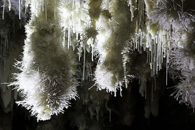 Apartamento Bielva Lejlighed *